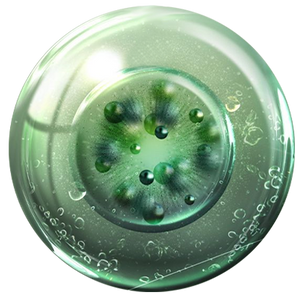 Fivfivgo® HPV Genital Warts Remover Drop image Fivfivgo® HPV Genital Warts Remover Drop